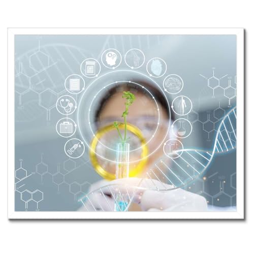 Poster biologie haut de gamme cadre noir 50 x 40 cm modèle H10616Z