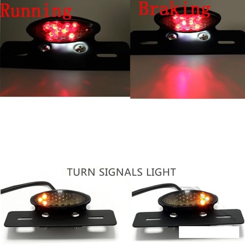 Éclairage de plaque d'immatriculation et clignotants moto LED universel