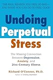 Undoing Perpetual Stress: The Missing Connection Between Depression, Anxiety and 21stCentury Illness