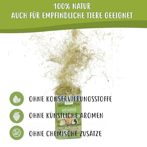 Heuland Wiesenheu 1kg – für Kaninchen, Meerschweinchen & Hasen – naturbelassenes Premium-Heu aus artenreicher Wiese – sonnengetrocknet – hoher Rohfaseranteil – für Verdauung & Zahnabrieb (1kg)