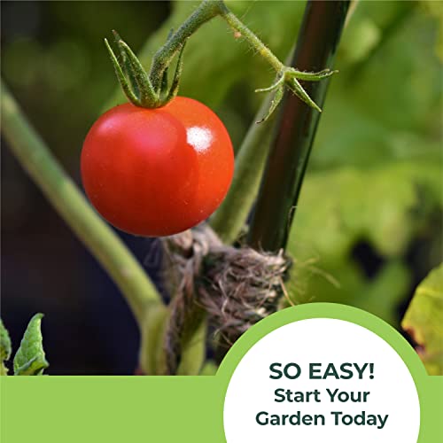 Window Garden Sow Much Fun Seed Starting, Vegetable Planting And Growing Kit For Kids, 3 Self Watering Planters, Soil, Seeds And Puffy Stickers. No Mess, Easy, Works Great! (Cherry Tomato) #TOP6