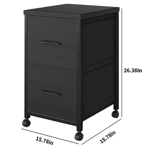 ROSONG 2 Drawer File Cabinet on Wheels for Home Office, Rolling Small Filing Cabinets Under Desk Printer Stand with Two Drawer Fits A4 Letter Size Mobile Vertical Black