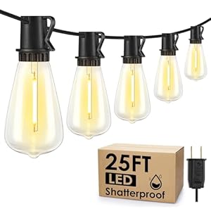 25FT Outdoor String Lights, Patio Lights with 10+1 LED Dimmable Waterproof Shatterproof ST38 Retro Edison 2700K Bulbs for Balcony Yard, Black