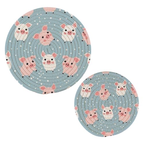 Qilmy Cute Pig - Juego de 2 salvamanteles para ollas, almohadillas calientes, manteles individuales, para cocinar y hornear, almohadillas calientes trenzadas de algodón 1007