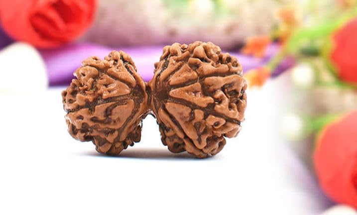Pure Garbh Gauri Rudraksha Original Certified গর্ভ গৌরী রুদ্রাক্ষ प्राकृतिक गर्भ गौरी रुद्राक्ष Gauri Ganesh Ruthratcham Pendant Bead for Religious Rituals, Spiritual Gifting & Daily Worship-image-47