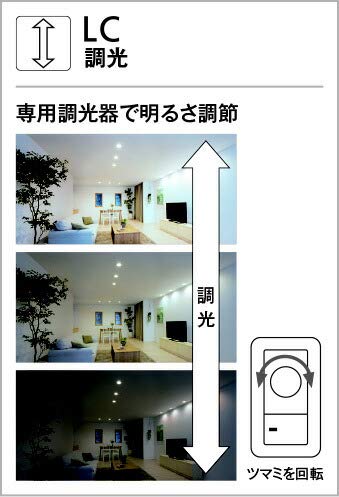 Amazon.co.jp : オーデリック/ODELIC/LEDダウンライト（調光器別売