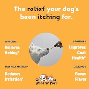 Natural yeast infection treatment for dogs  helps to support itching relief allergy relief inflammation relief  more  itch relief for dogs  dog ear infection treatment  dog itch relief  1 oz   cucciolini doodles