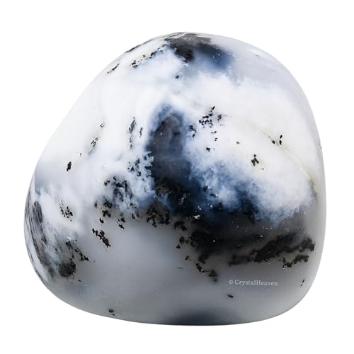 Image of Certified Dendrite Opal Crystal Healing Tumbled Stone, Natural Polished Crystals for DIY Crafts, Manifestation, Meditation, Pooja Feng Shui and Reiki Healing (30 Grams)