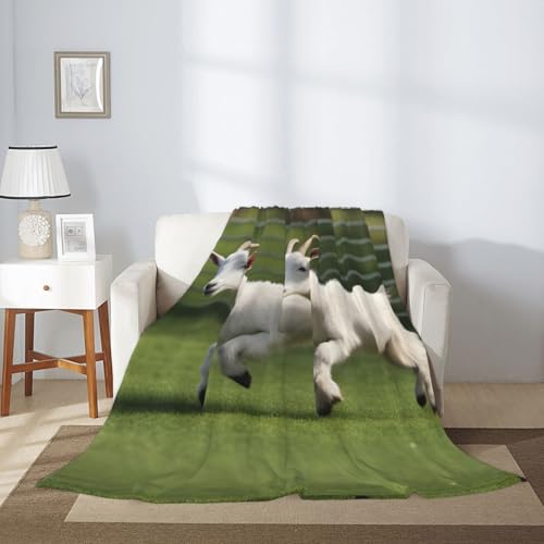 Couverture chèvre chaude et durable pour lit et canapé - 4