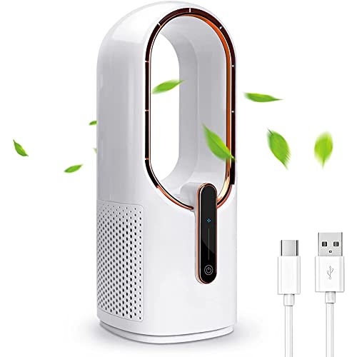 Sujhyrty Ventilatore da scrivania, ventilatore pale, ventilatore da tavolo USB da 30 cm, con...