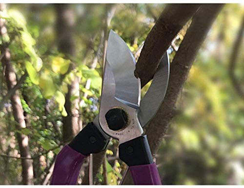 Tijeras de podar para jardín mango antideslizante miniatura 5