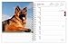 German Shepherds | 2026 6 x 7.75 Inch Spiral-Bound Wire-O Weekly Engagement Planner Calendar | New Full-Color Image Every Week | BrownTrout | Animals Dog Breeds Pets