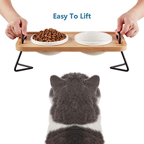 Pmcvse Elevated Ceramic Cat Bowls, 15° Tilted Raised Food Feeding Dishes, with Stand Bamboo Water Feeder Set for Small… - Image 3