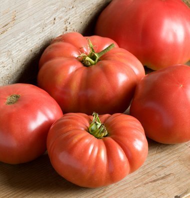 Tomato Beefsteak Indeterminate German Johnson FBA-3818 (Red) 25 Non-GMO, Heirloom Seeds