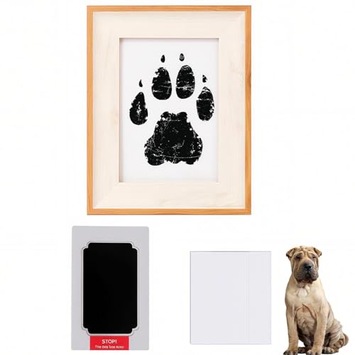 Lifetips V[yCiShar Peij ybgp  X^v Lbg ^  ``X^v `쐬Lbg LO  Ȃ `    ` ^ ȒP S y Ճpbh IWi vg ] 