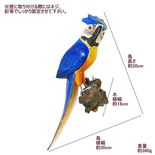 Amazon.co.jp: 南国 カラフル バード 壁掛け 木の枝 鳥 30cm 鳥の置物