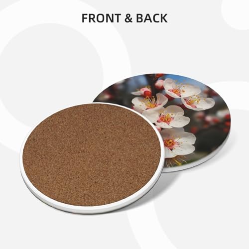 Dessous de verre en liège et céramique premium, protection de table durable