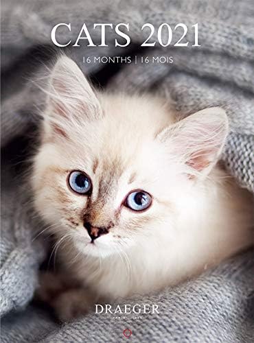 Amazon ドレジャー 21年 スモールカレンダー Cats 壁掛けタイプ 猫 動物 かわいい 写真 月曜始まり フランス製 中国印刷 カレンダー 文房具 オフィス用品