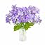 Hydrangea-purple