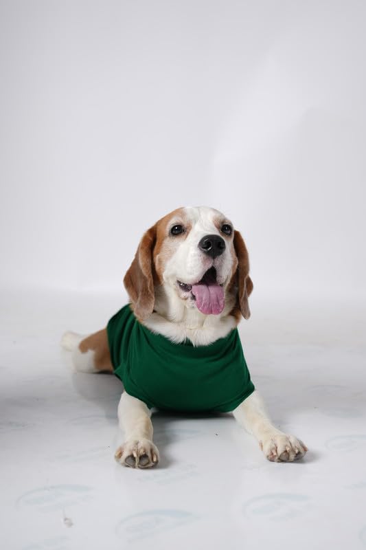 Image of Thunder Tails Premium Cotton Dog T-Shirt | Adjustable Neck | for Medium Dogs | Green | X Large | for Beagle