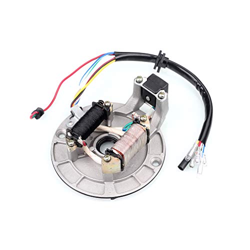 Chanoc 2 Coil Ignition Magneto Stator Plate For 50Cc 70Cc 90Cc 110Cc 125Cc Taotao Kazuma Ssr Baja Atv Quad Dirt Bike 4 Wheeler #TOP2