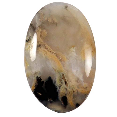 Agate dendrite tigre naturelle cabochon ovale de 46,95 ct Qx54