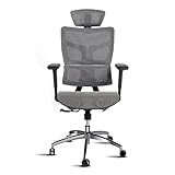 Kinna EK Ergonomic Mesh Office Chair, Office Chair with Advanced Adjustable 4D Headrest & Armrest, Lumbar Support for Long Hours, High-Back Computer Chair with Tilt Function, 5-Year Warranty, White