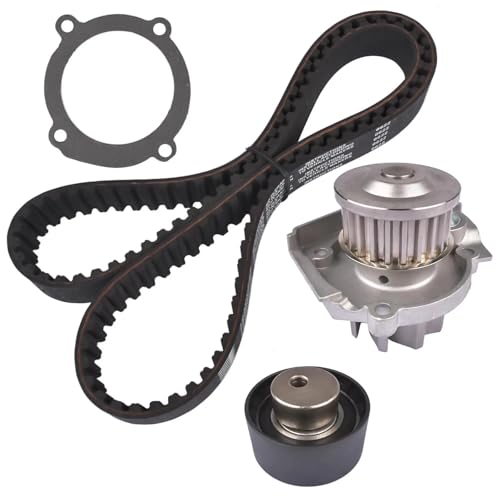 Kit correa distribución motor Fiat 500L piñón cadena bomba agua AP01