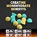 Nutravita NSF Certified Creatine Gummy - Creatine Monohydrate Gummies for Men & Women-5g of Creatine Monohydrate per Serving - Sugar Free,Vegan,Blueberry Pineapple Flavor, 120 Count