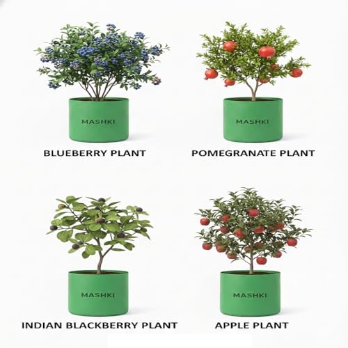 Image of MASHKI 20x30 Inch Extra Deep Grow Bag for Guava, Dwarf Mango & Fruit Plants | 300 & 400 GSM Heavy Duty HDPE | Long Life UV Stabilized Tree Planter for Terrace & Garden (2, 20x30 Inches, 300 GSM)
