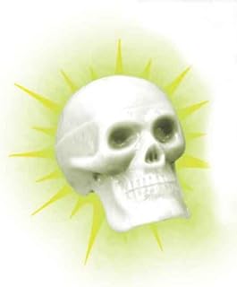 Beadbrain Skull Glow in The Dark Rhythm Shaker