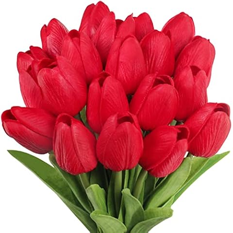 Winlyn 20 Pcs Red Tulip Stems Cover