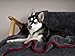 TrendPet Ruby Kuscheldecke und Trocknungsdecke für Hunde und Katzen (110x70cm)