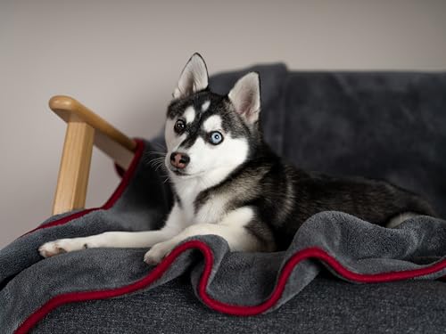 TrendPet Ruby Kuscheldecke und Trocknungsdecke für Hunde und Katzen (90x65cm)