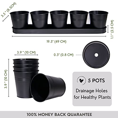 Scandinordica Black Herb Planter – 5 Herb Pots With Drainage Holes And Tray, Windowsill Planter, Indoor Herb Garden Planter Outdoor, Herb Pots For Indoor Plants | Windowsill Herb Garden #TOP2