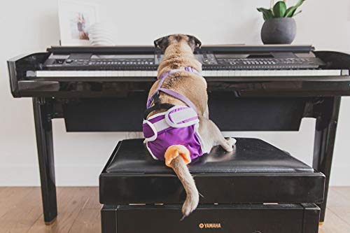 Dog Diaper And Belly Band Stretchable Straps | Dog Diaper Suspenders | Hold Dog Diapers And Belly Bands In Place | No Sliding Off(14.5" Length) #TOP4