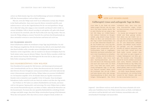 Der Welpen-Alltags-Helfer: Erziehung, Training und Probleme souverän meistern - stressfrei durch die erste Zeit mit jungem Hund (GU Welpen)