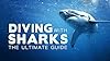 How to Set Up Your Digital Piano or Keyboard 51 Diving with Sharks: the Ultimate Guide #1