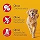 Pedigree Hundesnacks Hundeleckerli Ranchos Originals, 7 Packungen (7 x 70 g)
