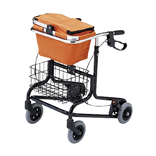 Ê퐻쏊 yېŁzs AR[BW^S 100558