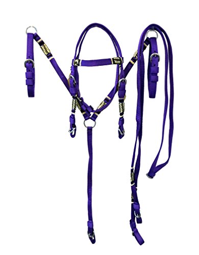 Equitem Pony Size Nylon Headstall and Breast Collar Set with Rawhide Accents (Purple)