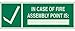 Brady 90930 Glow-In-The-Dark Plastic Glow-In-The-Dark Exit & Directional Sign, 5" X 14", Legend "In Case Of Fire Assembly Point Is (with Picto)"