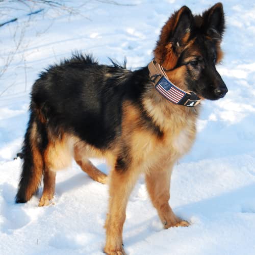 Dog Collar With Control Handle Quick Release Metal Buckle Heavy Duty Military Style 2" Width Nylon With Usa Flag For Handling And Training Large Canine Male Or Female K9 #TOP3