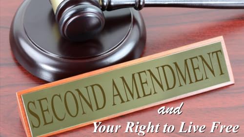 531 - The Second Amendment and Your Right to Live Free