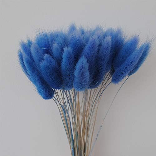 Color Life 110-120 Pcs Dried Natural Flowers Decoration, Dried Rabbit Tail Grass Flowers,Dried Pampas Grass, Used for Home, Wedding, Party, Theme Decoration,16in ( Blue)