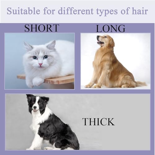 Image of ๐๐๐ญ ๐๐๐ข๐ซ ๐๐ซ๐ฎ๐ฌ๐ก, Cat Brush with Release Button, Pet Hair Cleaner Brush Cat Grooming Brush, Pet Comb Cat Brushes for Indoor Cats, Self Cleaning Cat Brush for Deshedding (Purple)