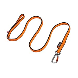Non-Stop Dogwear 5.0 Bungee Leine Orange 2.0 m