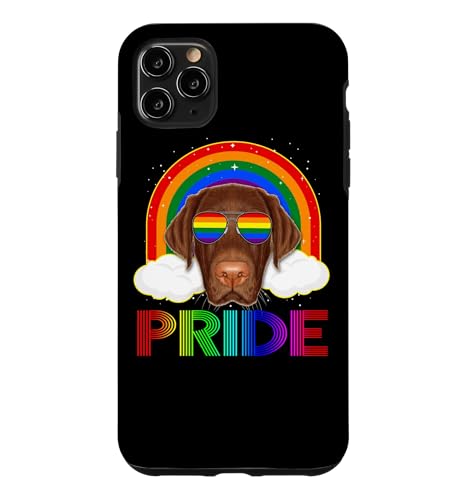���u���h�[���� LGBT ���C���{�[ �Q�C ���Y�r�A�� �ʔ��� LGBT �v���C�h �X�}�z�P�[�X iPhone 11 Pro Max �p