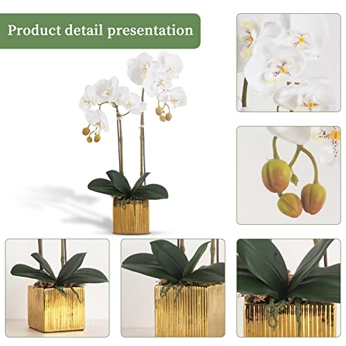 Ziwon Artificial Orchid Flowers Potted In Ceramic Pot, White Faux Phalaenopsis Orchids For Table Centerpiece, Realistic Fake Flower In Vase For Home Office Decor Indoor #TOP1