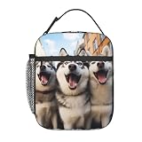 Dimensioni della borsa termica: 21 cm (lunghezza) x 11 cm (larghezza) x 26 cm (altezza). Può contenere facilmente un pasto completo con portapranzo, frutta, snack e bevande, tutto ben organizzato in un unico spazio.
